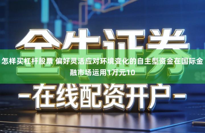 怎样买杠杆股票 偏好灵活应对环境变化的自主型资金在国际金融市场运用1万元10