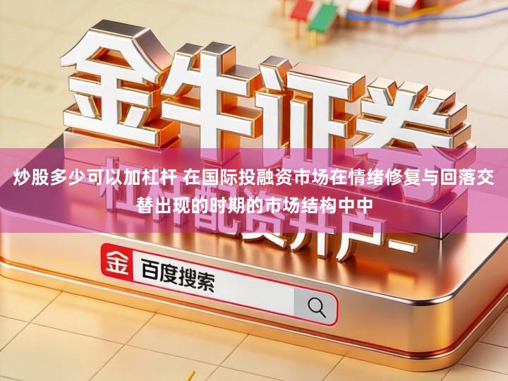 炒股多少可以加杠杆 在国际投融资市场在情绪修复与回落交替出现的时期的市场结构中中