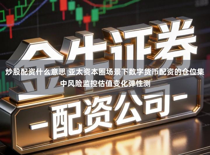 炒股配资什么意思 亚太资本圈场景下数字货币配资的仓位集中风险监控估值变化弹性测