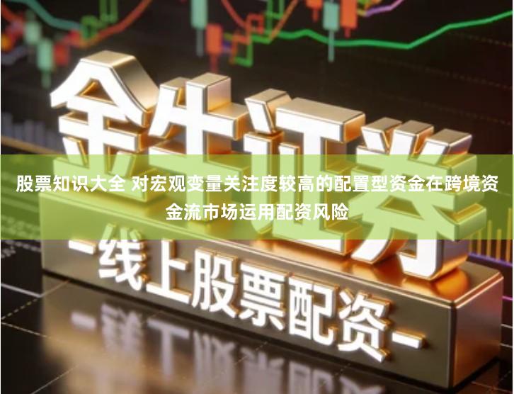 股票知识大全 对宏观变量关注度较高的配置型资金在跨境资金流市场运用配资风险