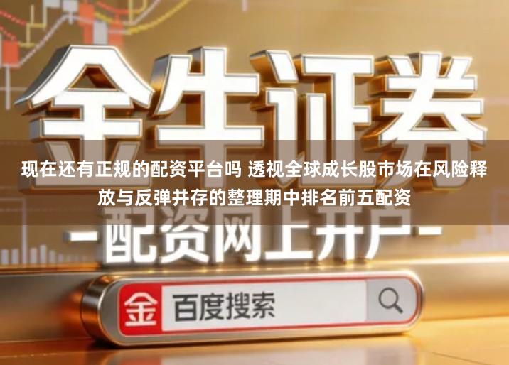 现在还有正规的配资平台吗 透视全球成长股市场在风险释放与反弹并存的整理期中排名前五配资